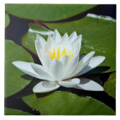 White Lotus Water-lily Ceramic Tile Trivet Tegeltje (Voorkant)