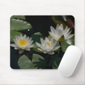 White Lotus Waterlilies Lily Pads Muismat (Met muis)