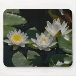 White Lotus Waterlilies Lily Pads Muismat