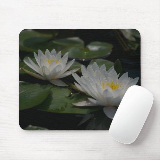 White Lotus Waterlilies Lily Pads Muismat (Met muis)