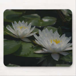 White Lotus Waterlilies Lily Pads Muismat