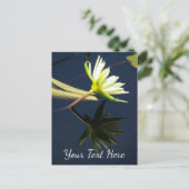White Lotus Waterlily Briefkaart (Staand voorkant)