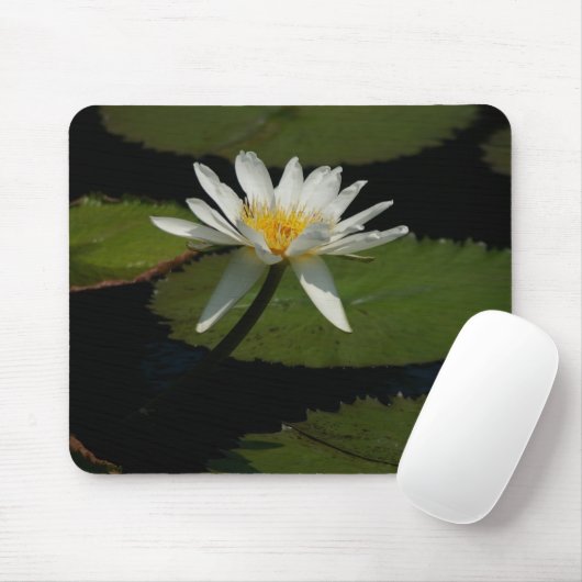 White Lotus Waterlily Lily Pads Muismat (Met muis)