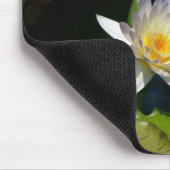 White Lotus Waterlily Lily Pads Muismat (Hoek)