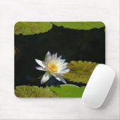 White Lotus Waterlily Lily Pads Muismat (Met muis)