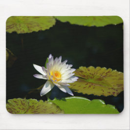 White Lotus Waterlily Lily Pads Muismat