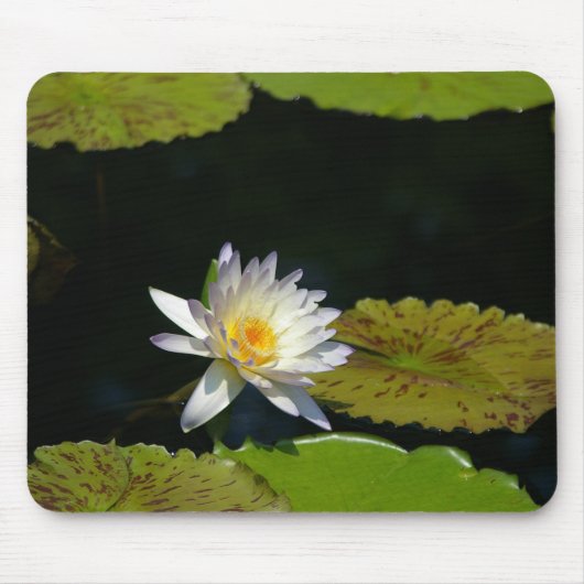 White Lotus Waterlily Lily Pads Muismat (Voorkant)