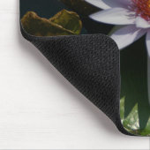 White Lotus Waterlily Lily Pads Muismat (Hoek)