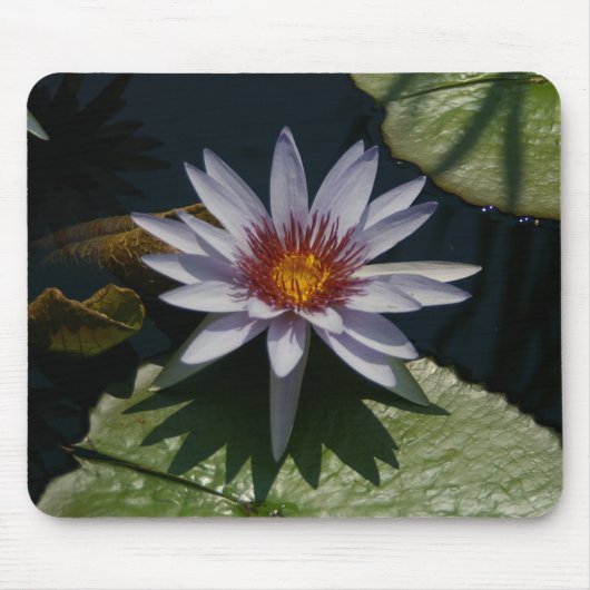 White Lotus Waterlily Lily Pads Muismat (Voorkant)