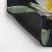 White Lotus Waterlily Lily Pads Muismat (Hoek)