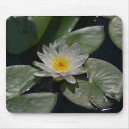 White Lotus Waterlily Lily Pads Muismat