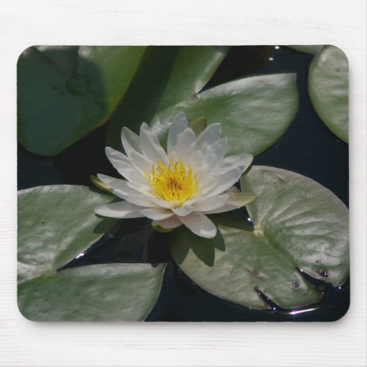 White Lotus Waterlily Lily Pads Muismat (Voorkant)