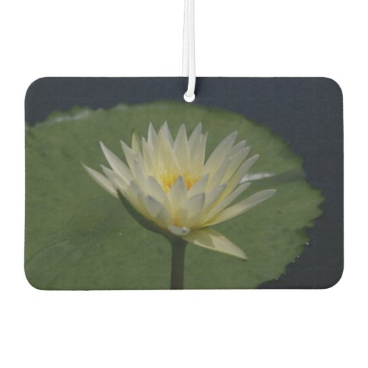 White Lotus Waterlily Luchtverfrisser (Voorkant)