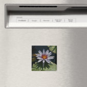 White Lotus Waterlily magnet (Insitu (Vaatwasser))