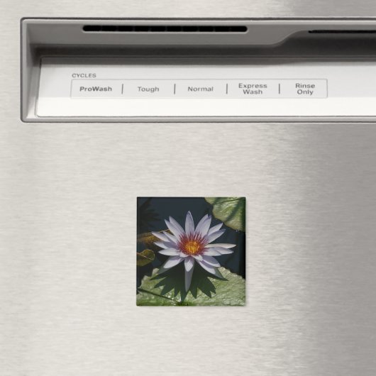 White Lotus Waterlily magnet (Insitu (Vaatwasser))
