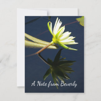 White Lotus Waterlily Notitiekaartje