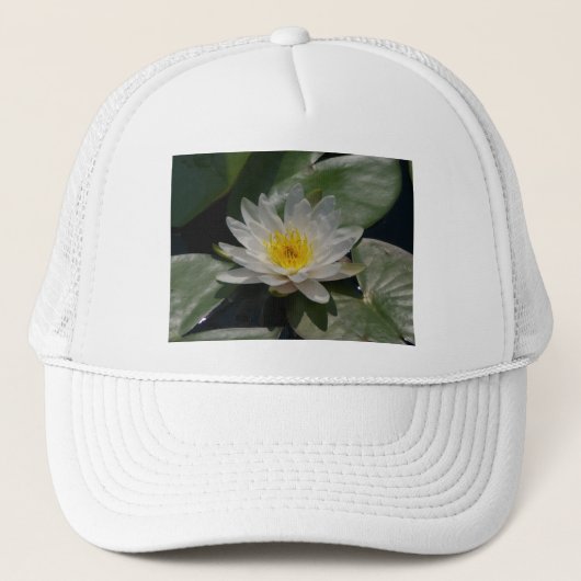 White Lotus Waterlily Pet (Voorkant)