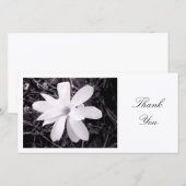 White Magnolia - Bedankt (Voorkant / Achterkant)