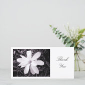 White Magnolia - Bedankt (Staand voorkant)