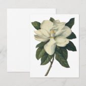  White Magnolia Blossom Flowers Uitnodiging (Voorkant / Achterkant)
