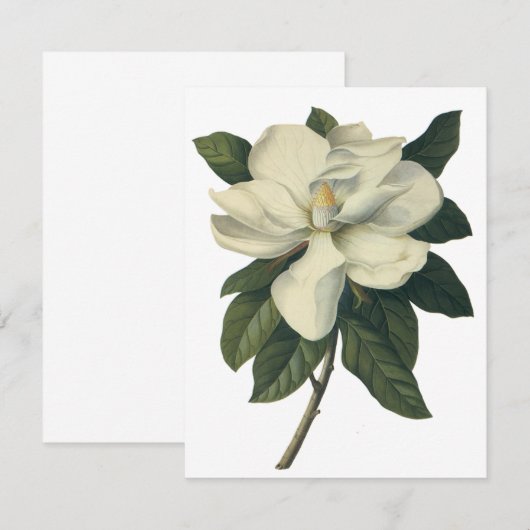 White Magnolia Blossom Flowers Uitnodiging (Voorkant / Achterkant)