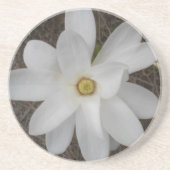 White Magnolia Blossom Onderzetters (Voorkant)
