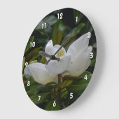 White Magnolia Blossom op donkergroene foto Grote Klok (Hoek)