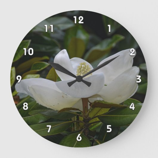 White Magnolia Blossom op donkergroene foto Grote Klok (Voorkant)