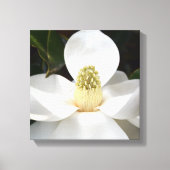 White Magnolia Blossom Photographic Botanical Canvas Afdruk (Voorkant)