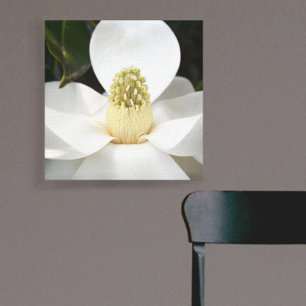 White Magnolia Blossom Photographic Botanical Canvas Afdruk