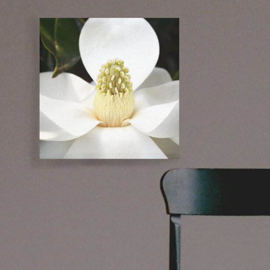 White Magnolia Blossom Photographic Botanical Canvas Afdruk