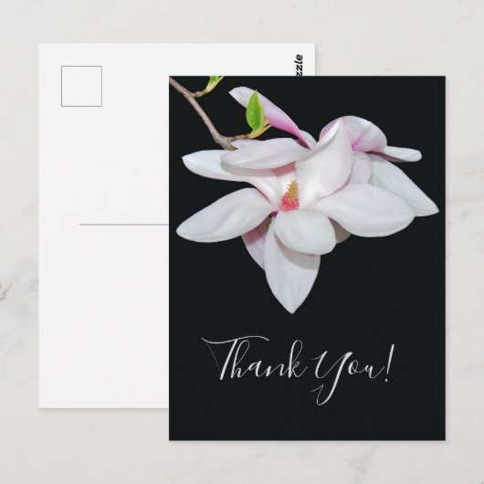 White Magnolia Briefkaart (Voorkant / Achterkant)