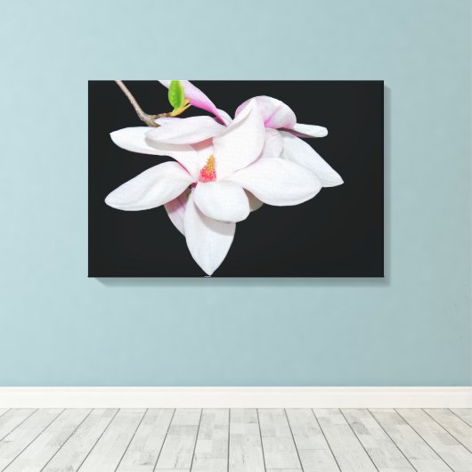 White Magnolia Canvas Afdruk (Insitu (Houten vloer))