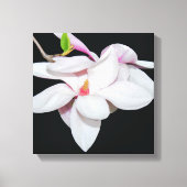 White Magnolia Canvas Afdruk (Voorkant)