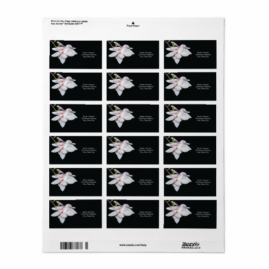 White Magnolia Etiket (Full Sheet)