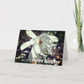 White Magnolia Flower Birthday Kaart (Voorkant)