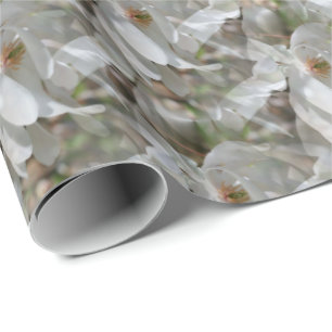White Magnolia Flower Blossom Natuur   Cadeaupapier