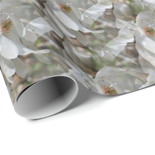 White Magnolia Flower Blossom Natuur   Cadeaupapier (Rol Hoek)