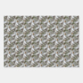 White Magnolia Flower Blossom Natuur   Inpakpapier Vel (Voorkant 3)