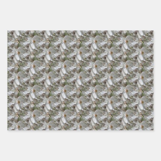 White Magnolia Flower Blossom Natuur   Inpakpapier Vel (Voorkant)