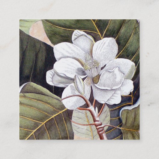 White Magnolia Flower  Botanical Vierkante Visitekaartje (Achterkant)