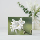 White Magnolia Flower Briefkaart (Staand voorkant)