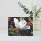 White Magnolia Flower Briefkaart (Staand voorkant)