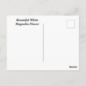 White Magnolia Flower Briefkaart (Achterkant)