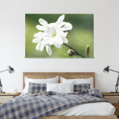 White Magnolia Flower Canvas Afdruk (Insitu (Slaapkamer))