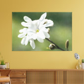 White Magnolia Flower Canvas Afdruk (Insitu (Woonkamer))