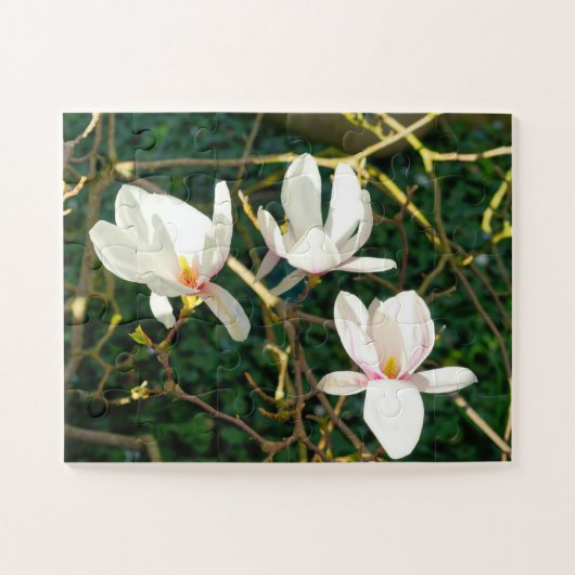 White Magnolia Flower Legpuzzel (Horizontaal)