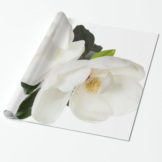 White Magnolia Flower Magnolias Floral Flowers Cadeaupapier (Uitgerold)