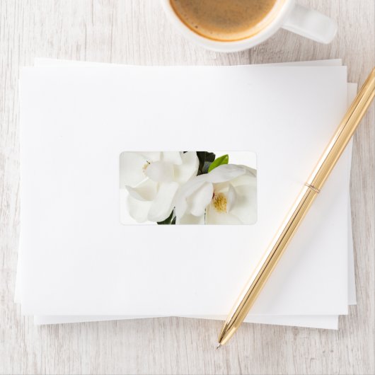 White Magnolia Flower Magnolias Floral Flowers Etiket (Insitu)