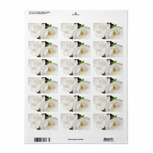 White Magnolia Flower Magnolias Floral Flowers Etiket (Full Sheet)